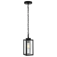 SAFAVIEH Black Clemens Outdoor Pendant Light