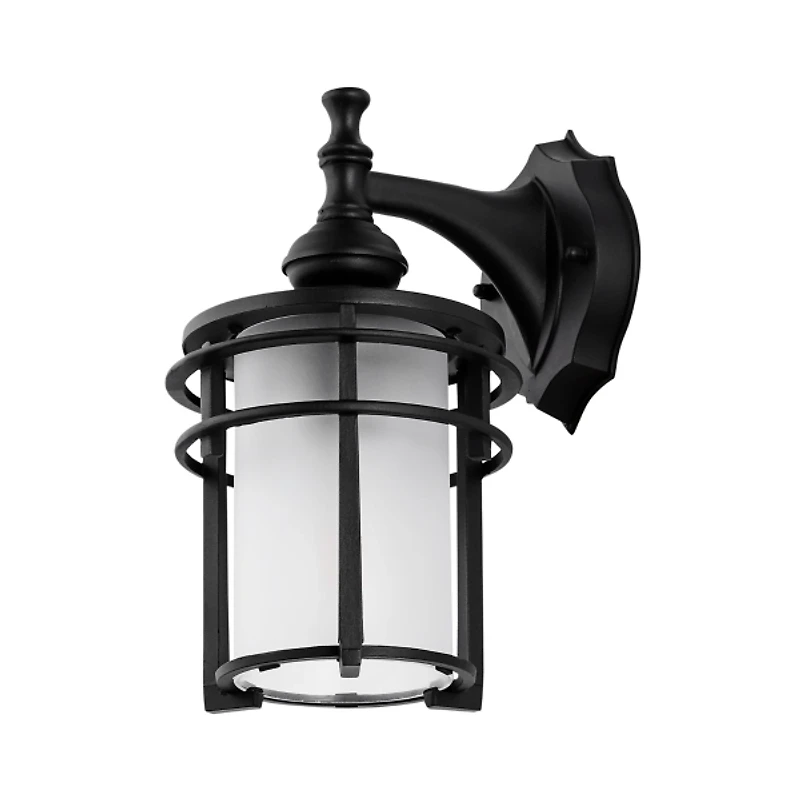 Black Adisyn Outdoor Wall Sconce