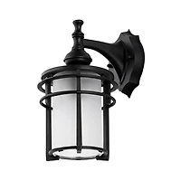 Black Adisyn Outdoor Wall Sconce