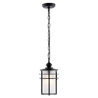 Black Adisyn Outdoor Pendant Light