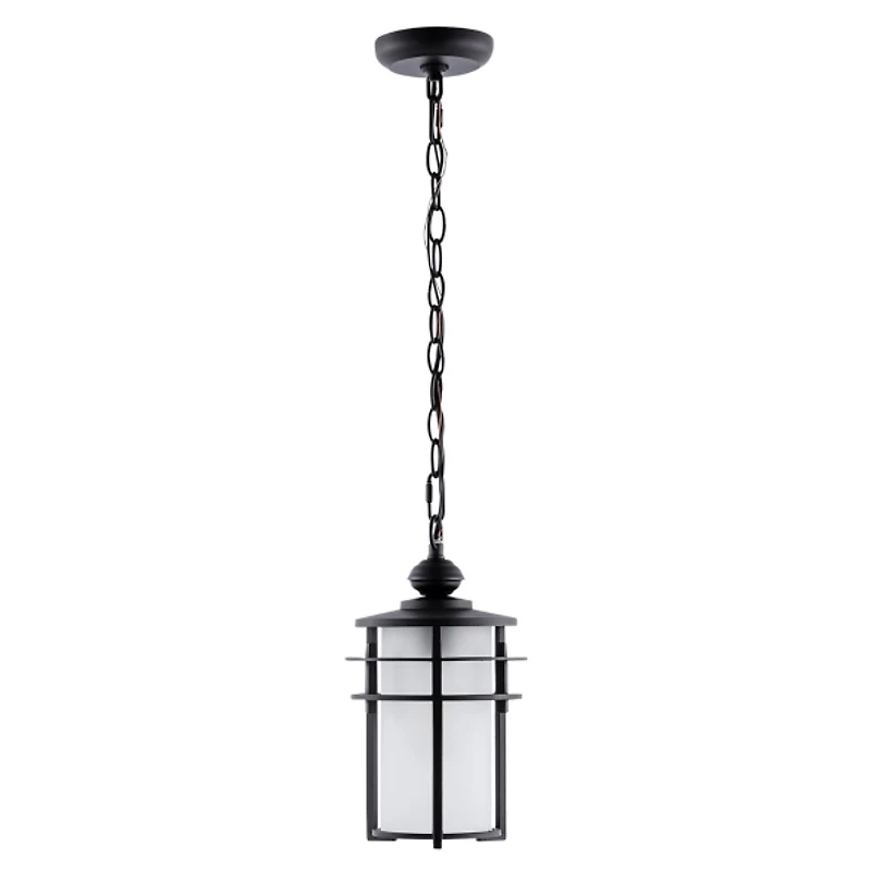 Black Adisyn Outdoor Pendant Light