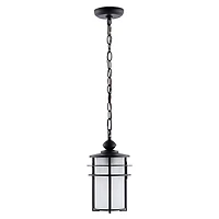 Black Adisyn Outdoor Pendant Light