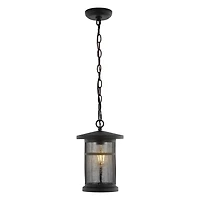 SAFAVIEH Black Ospry Outdoor Pendant Light
