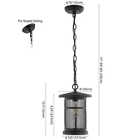 SAFAVIEH Black Ospry Outdoor Pendant Light