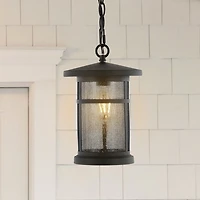 SAFAVIEH Black Ospry Outdoor Pendant Light