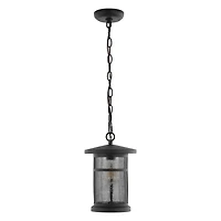 SAFAVIEH Black Ospry Outdoor Pendant Light