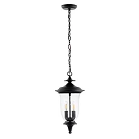 SAFAVIEH Black Dowell Outdoor Pendant Light
