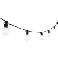 Leigh Black LED Outdoor String Lights