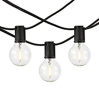 Leigh Black LED Outdoor String Lights