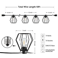 Bowne Black Birdcage LED Outdoor String Lights