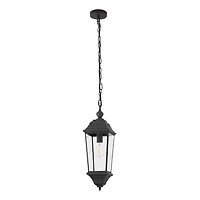 Black Teri Outdoor Pendant Light