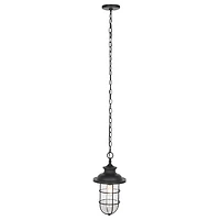 Black Adelle Outdoor Pendant Light