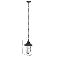 Black Adelle Outdoor Pendant Light