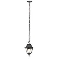 Rhion Black Outdoor Pendant Light