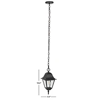 Rhion Black Outdoor Pendant Light