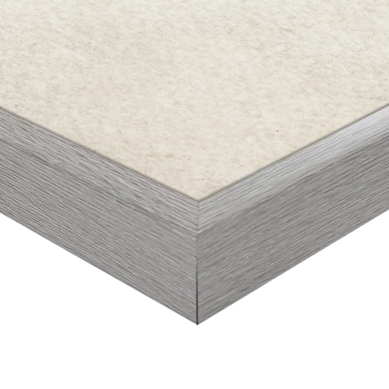 Two Bluebirds Framed Canvas Art Print