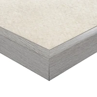 Two Bluebirds Framed Canvas Art Print