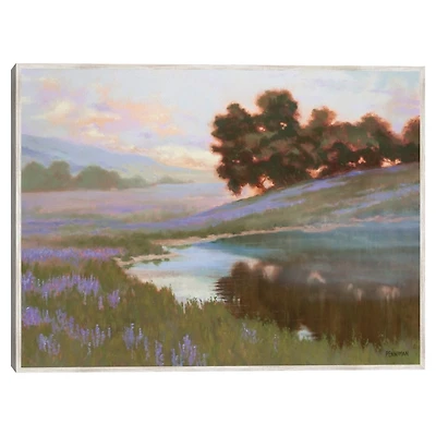 Patel Field Framed Canvas Art Print