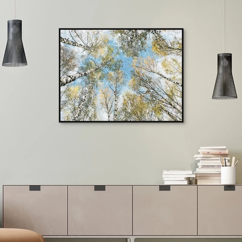 Ethereal View Framed Canvas Art Print