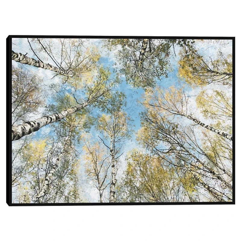 Ethereal View Framed Canvas Art Print