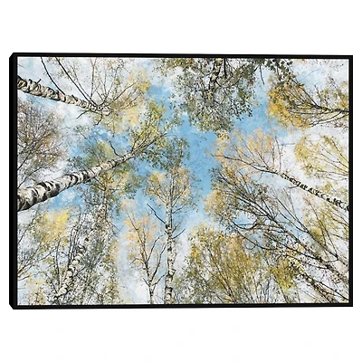 Ethereal View Framed Canvas Art Print