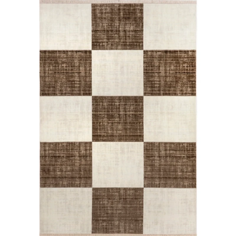 Aspen Checkerboard Fringed Area Rug