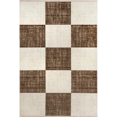 Aspen Checkerboard Fringed Area Rug