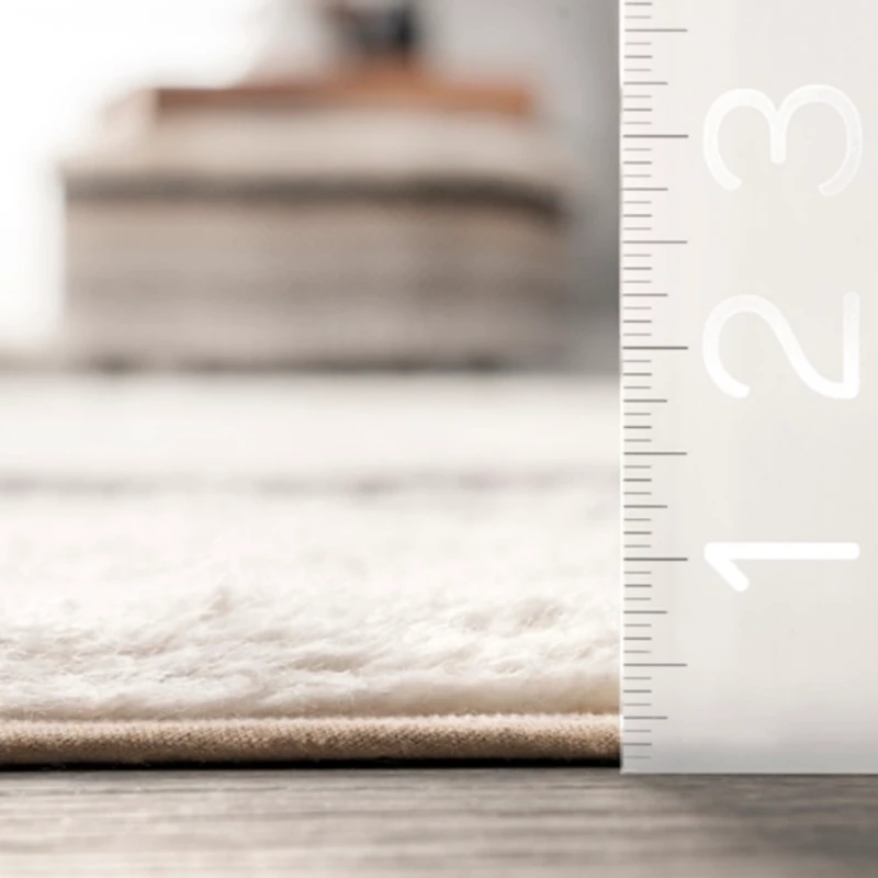 Striped Wool Machine Washable Area Rug, 4x6