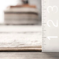 Striped Wool Machine Washable Area Rug, 4x6