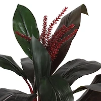 Green and Red Dracaena in Terra Cotta Planter