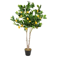 Green and Yellow Lemon Tree in Black Planter