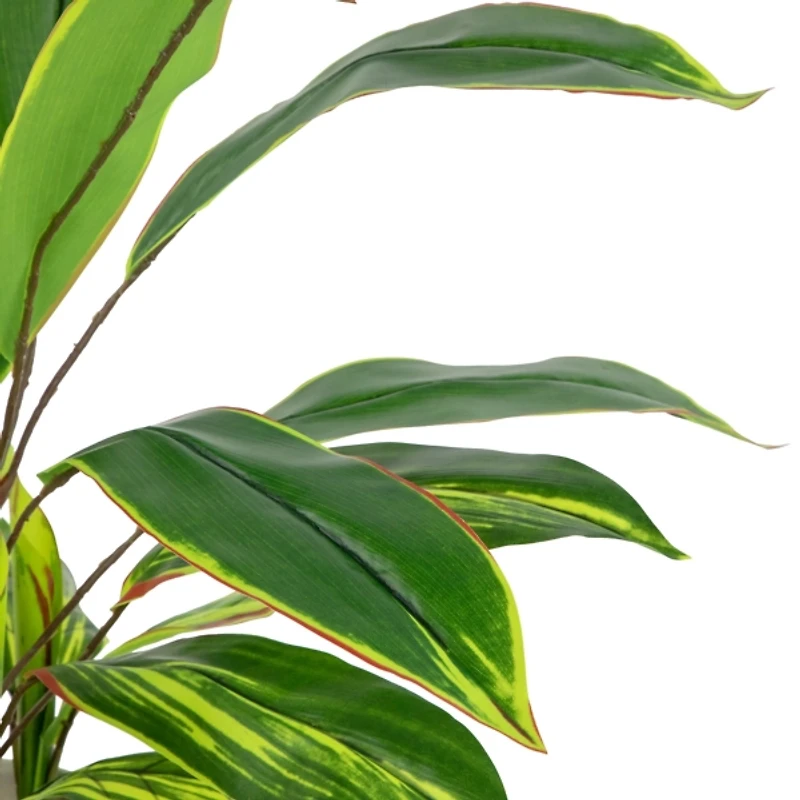 Real Touch Dracaena in White Planter