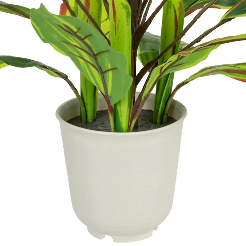 Real Touch Dracaena in White Planter