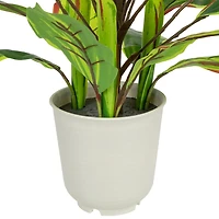 Real Touch Dracaena in White Planter