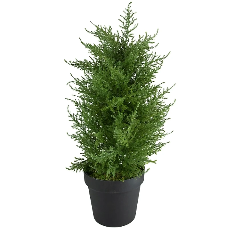 Real Touch Petite Cedar Pine in Black Planter
