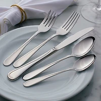 Stainless Steel Flight 20-pc. Flatware Set