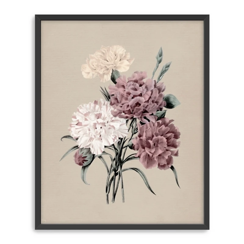Purple Antique Carnations Framed Art Print