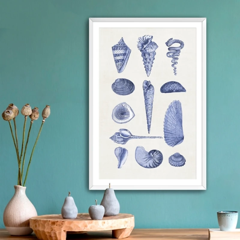 Blue Quaint Shells Framed Art Print