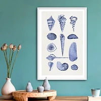 Blue Quaint Shells Framed Art Print