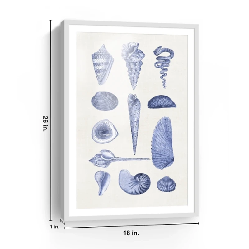 Blue Quaint Shells Framed Art Print