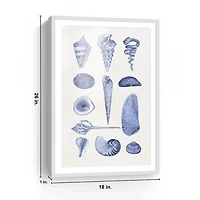 Blue Quaint Shells Framed Art Print