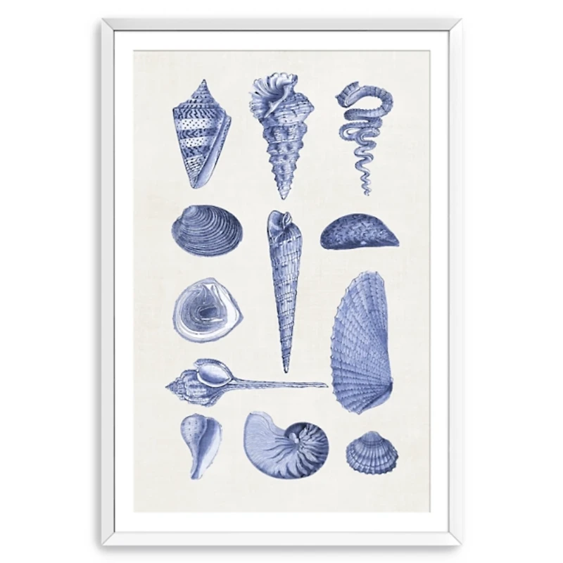 Blue Quaint Shells Framed Art Print