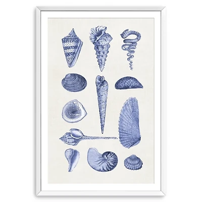 Blue Quaint Shells Framed Art Print