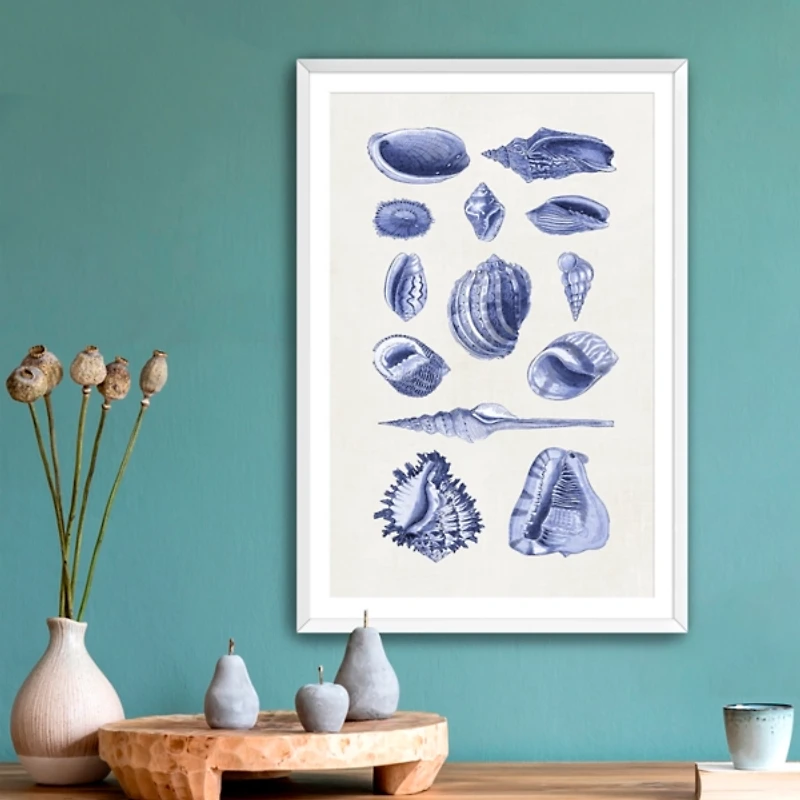 Antique Blue Shells Framed Art Print