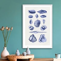 Antique Blue Shells Framed Art Print