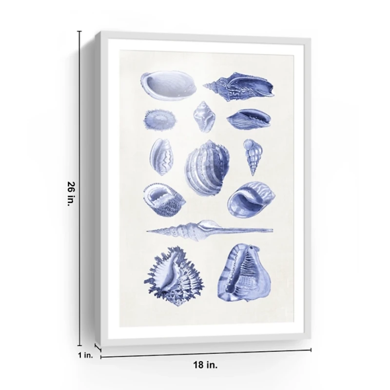 Antique Blue Shells Framed Art Print