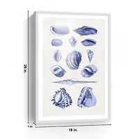 Antique Blue Shells Framed Art Print