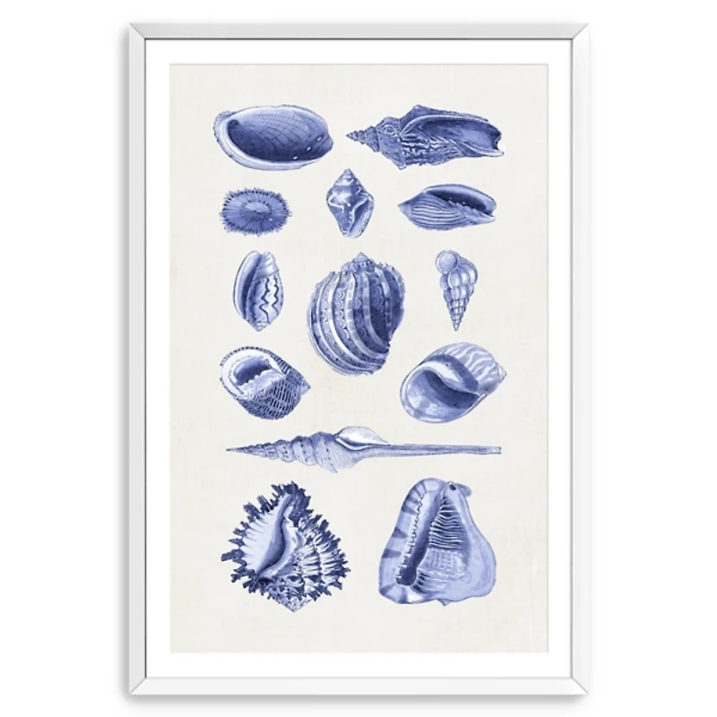 Antique Blue Shells Framed Art Print