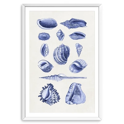 Antique Blue Shells Framed Art Print