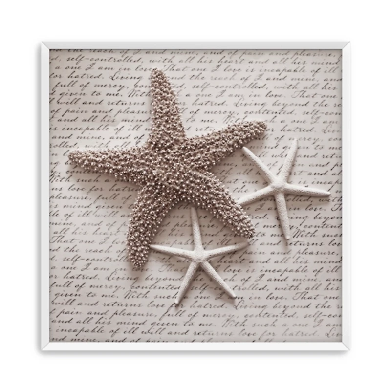 Nautical Simplicity Framed Art Print